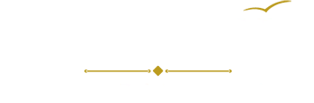 Logo Rein & Fein Premium Reinigungsservice Lübeck